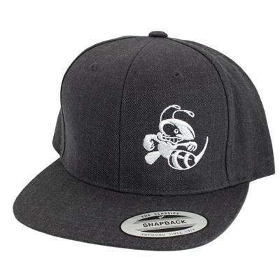 Discraft Snapback Hat With Buzz Design