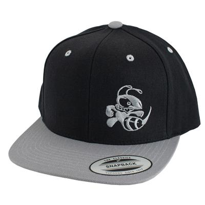 Discraft Two Tone Snapnack Hat Buzzz Design
