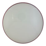 Axiom Proxy - Neutron Soft Plastic - Blank White