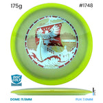 Disc Golf Warehouse Innova Thunderbird - Halo Champion Moondust Plastic - Henna Blomroos 2026 Tour Series Yellow/Red Metallic, Silver 175g